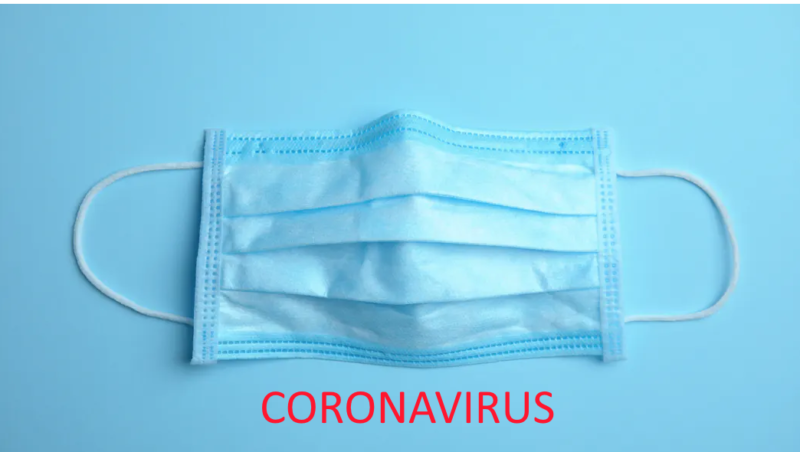 coronavirus télétravail LYON